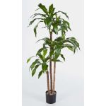Faux dracaena Fragrans LAURA, vrais troncs, vert, 120cm