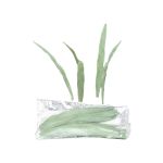 Brins de roseau artificiels YAMIAN, 36 pièces, vert-blanc, 15cm