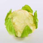 Chou-fleur artificiel SINEO, blanc-vert, 10,5cm, Ø18cm