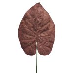 Feuille de Philodendron Scandens veloutée AOSHEN, brun, 70cm