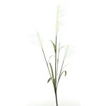 Branche artificielle herbe de la pampa LINEN avec panicules, blanc, 145cm