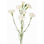 Branche de fleur artificielle d'œillet PIARA, blanche, 60cm, Ø3-5cm