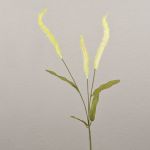 Branche d'herbe décorative Liriope JELIKANTA avec des panicules, crème-vert, 75cm