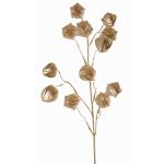 Branche décorative de physalis DUGONG avec fruits, dorée, 90cm