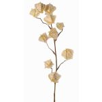 Branche artificielle de physalis AINOS, fruits, paillettes, crème, 80cm