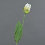 Fleur artificielle Tulipe perroquet UAKARI, blanc-vert, 65cm, Ø6cm
