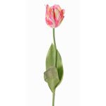 Fleur artificielle Tulipe perroquet UAKARI, rose-crème-vert, 65cm, Ø6cm