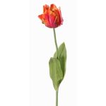 Fleur artificielle Tulipe perroquet UAKARI, rouge-fuchsia-orange-vert, 65cm, Ø6cm