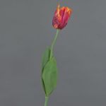 Fleur artificielle Tulipe perroquet UAKARI, rouge-fuchsia-orange-vert, 65cm, Ø6cm