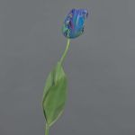 Fleur artificielle Tulipe perroquet UAKARI, bleu-vert, 65cm, Ø6cm