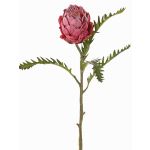 Protéa artificiel BREGANSA, vieux fuchsia, 65cm, Ø7cm