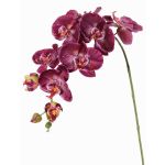 Branche décorative Orchidée Phalaenopsis WESA, violet foncé-blanc, 90cm, Ø11-12,5cm
