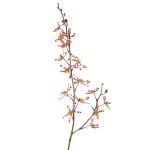 Branche artificielle Orchidée Cattleya TRASSA, violet-blanc-jaune, 80cm, Ø4-8cm