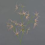 Künstlicher Tweedia solanoides Zweig TOSAR, rosa-grün, 70cm, Ø6-9cm