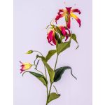 Gloriosa artificielle FUJITA, fuchsia-jaune, 80cm, Ø15cm