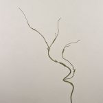 Branche de saule artificielle TONY, vert-brun, 75cm