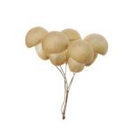 Légumes décoratifs Champignon THAYET, 6 pièces, beige, 12cm