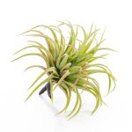 Tillandsia Rubra artificiel PENNY, piquet, vert-rouge, 12cm, Ø10cm