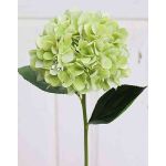 Hortensia en tissu TAJANA, vert clair, 60cm