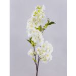 Branche de fleurs de cerisier artificielle MATSUDA, crème-blanc, 80cm
