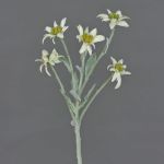 Edelweiss artificiel SOPHIA, blanc, 40cm, Ø5-6cm
