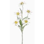 Edelweiss artificiel SOPHIA, blanc, 40cm, Ø5-6cm