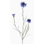 Bleuet artificiel KELSIE, bleu, 70cm, Ø4cm