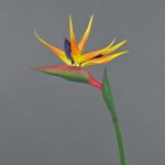 Strelitzia artificiel LATIFA, orange-violet, 80cm, 17x20cm