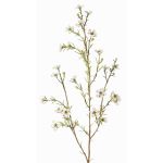 Hoya artificiel NIANG, crème, 80cm, Ø1,5-2,5cm
