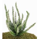 Bruyère artificielle IMKE sur piquet, crème, 25cm, Ø1cm