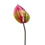 Fleur artificielle Anthurium GRUNT, vert-rose, 75cm