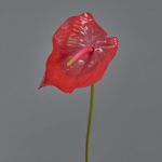 Anthurium artificiel MOIRA, rouge, 75cm, 13x20cm