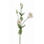 Lisianthus artificiel JUDIKA, blanc-vert, 70cm, Ø5cm