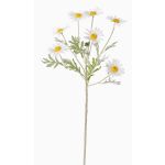 Marguerite artificielle LEONIA, blanc, 60cm, Ø5cm