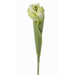 Tulipe artificielle ROMANA, vert clair, 45cm, Ø6cm