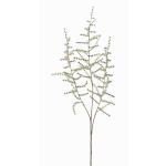 Fausse branche d'asparagus acutifolius JOCHEN, vert, 70cm