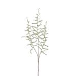 Fausse branche d'asparagus acutifolius HANS, vert, 70cm