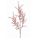 Fausse branche d'asparagus acutifolius HANS, orange, 70cm