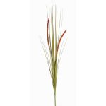 Vulpin artificiel JILL, piquet, panicules, vert-rouge, 90cm