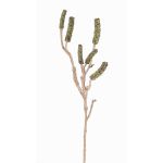 Branche de callistemon artificiel SIRIUS avec fruits, vert, 60cm