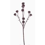 Fausse branche d'eucalyptus BASILIUS avec fruits, brun, 60cm