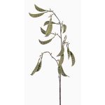 Branche de plante de pois artificielle KLAUS, vert, 90cm