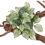 Fittonia artificiel MOLARA sur piquet, vert-blanc, 25cm