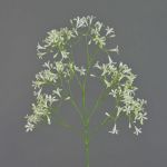 Saxifrage artificiel BOUZA avec fleurs, crème, 65cm