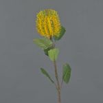 Fleur de banksia artificielle CONAKIR, jaune, 55cm