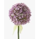 Allium artificiel DURBAN, violet clair, 70cm