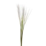 Herbe de la pampa artificielle ASES, panicules, piquet, vert, 95cm