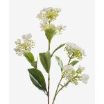 Hortensia artificiel ALAZNE, crème, 75cm