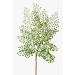 Branche de fougère type Capillaire de Montpellier HALIMA, vert, 60cm