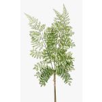 Branche de fougère polystichum HALIMA, vert, 60cm